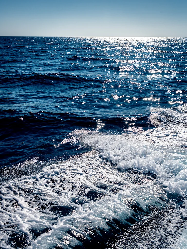 Meer
